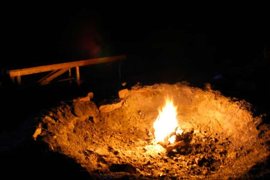 From Mendoza: Sunset Horseback Ride and Asado in the Andes - Who will enjoy this outing most