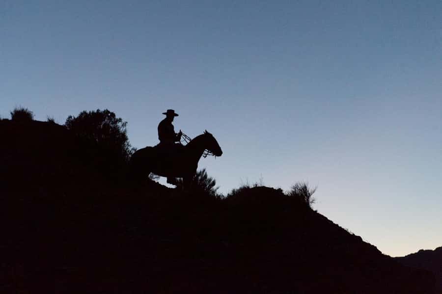 From Mendoza: Sunset Horseback Ride and Asado in the Andes - Should you book the Mendoza sunset ride?