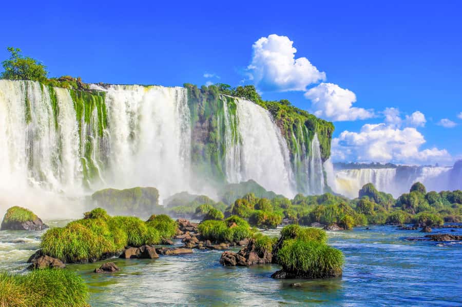 From Puerto Iguazu: Argentinian Iguazu Falls with Ticket - What happens at the National Park entrance