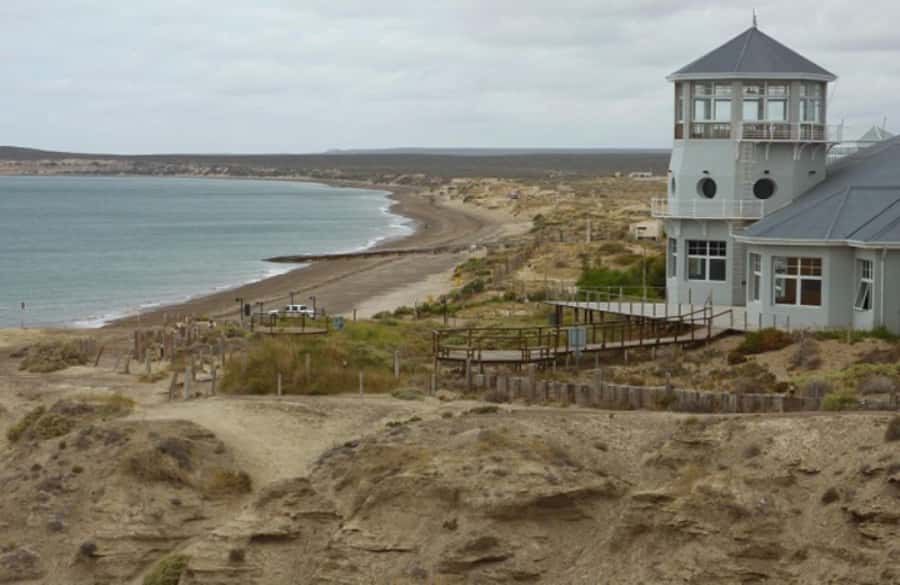 From Puerto Madryn: City and Punta Loma Tour - A quick introduction to Puerto Madryn