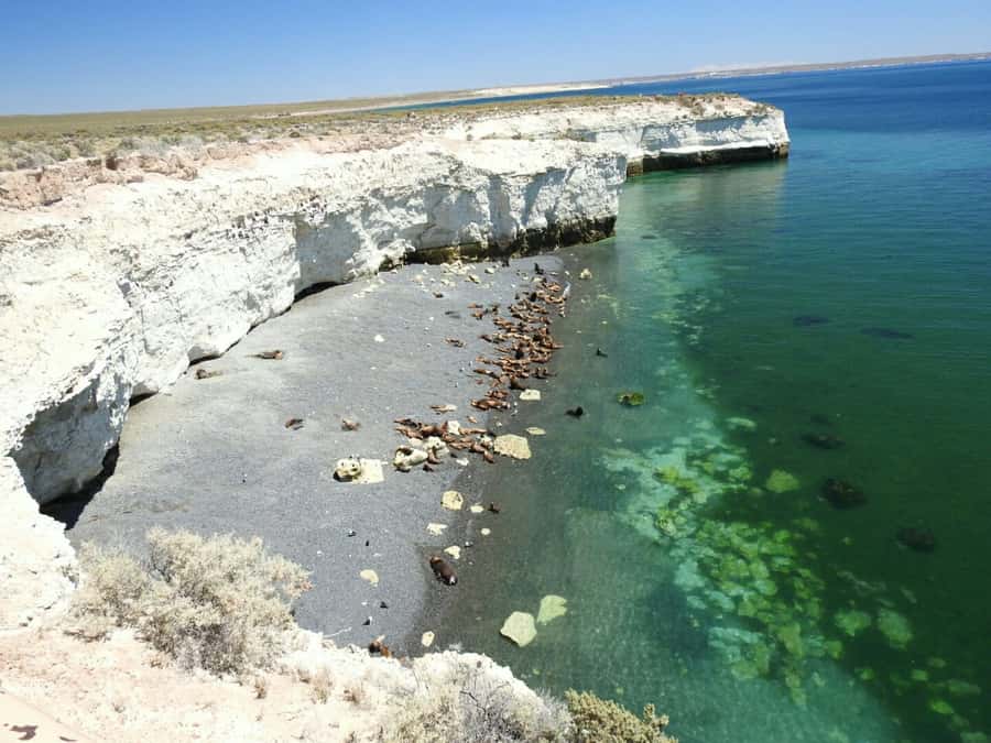 From Puerto Madryn: City and Punta Loma Tour - Is $196 a fair price?
