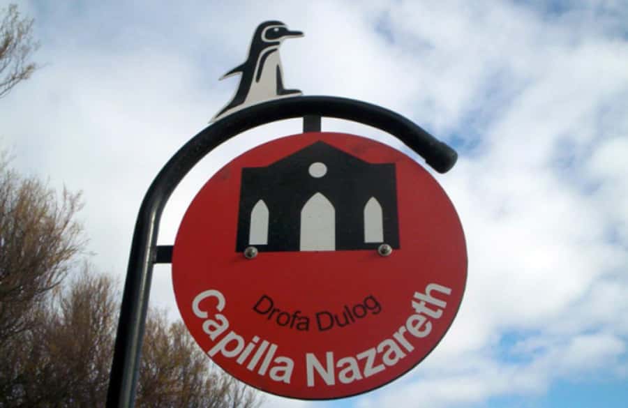From Puerto Madryn: City and Punta Loma Tour - Who should choose this two-hour outing?