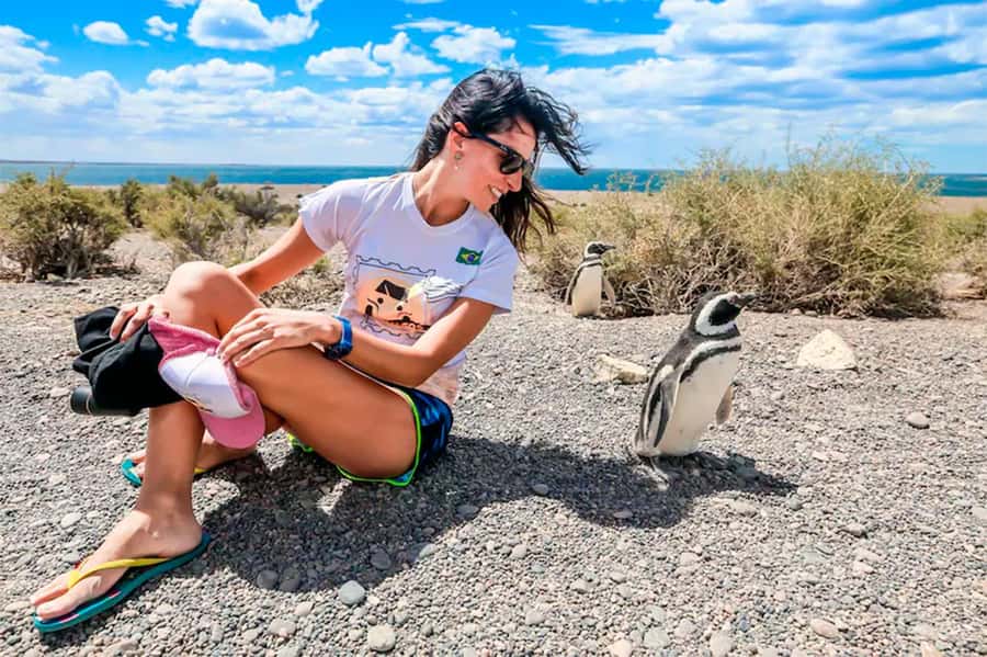 From Puerto Madryn: Full Day Excursion to Punta Tombo - Key points to know before booking