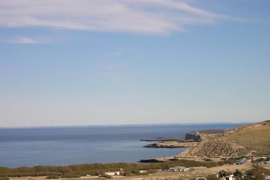 From Puerto Madryn: Full Day Excursion to Punta Tombo - Why Punta Tombo is worth the long ride