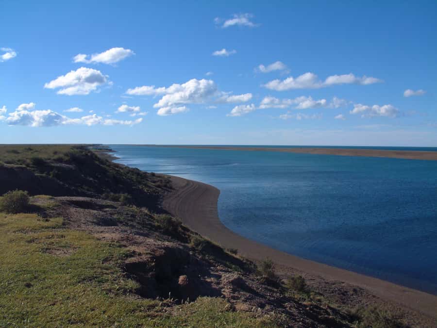 From Puerto Madryn: Full-Day Valdes Peninsula Tour - Punta Norte, sea lions, and cormorants