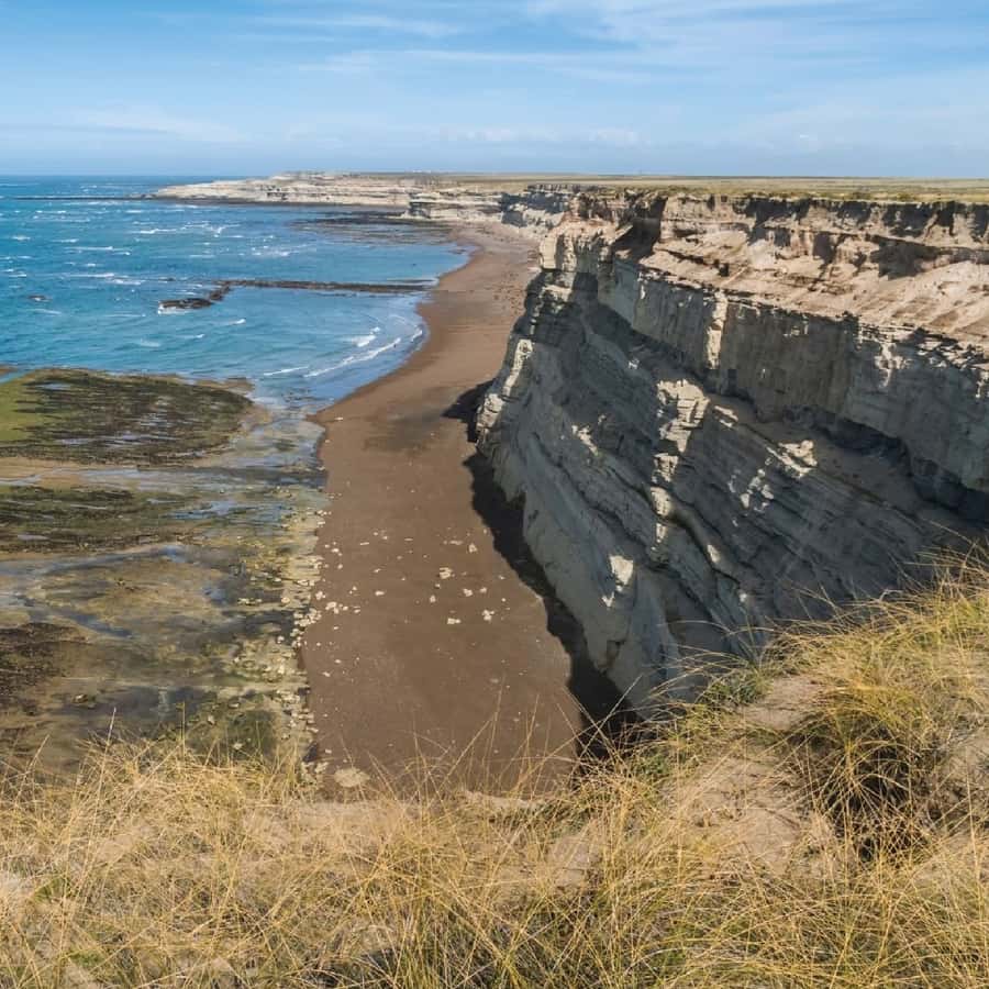 From Puerto Madryn: Peninsula Valdés Shore Excursion - Carlos Ameghino: the best orientation stop