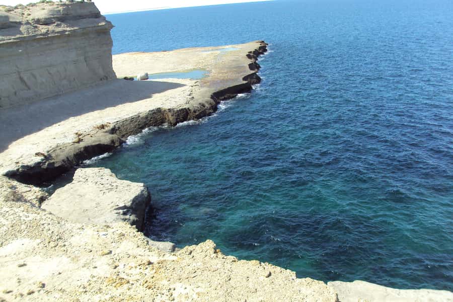From Puerto Madryn: Valdes Peninsula Full-Day Tour - Key points to know before you book