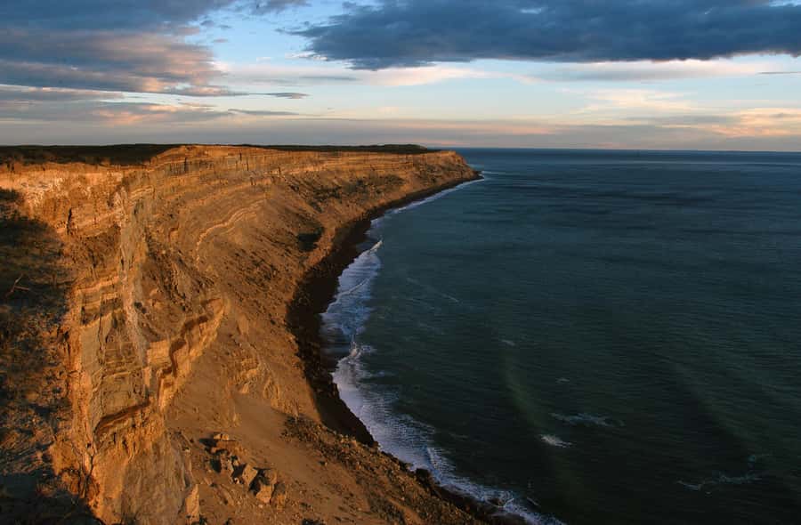 From Puerto Madryn: Valdes Peninsula Full-Day Tour - The first stop at Carlos Ameghino Isthmus