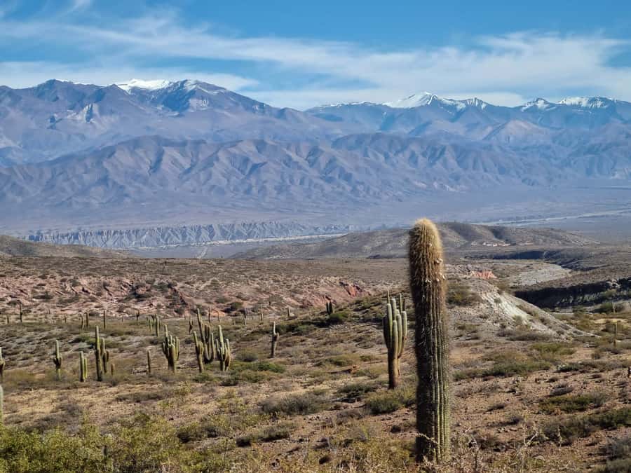 From Salta: 2-Day Guided Trip to Cafayate and Cachi - Day one: tobacco fields and the red road to Cafayate
