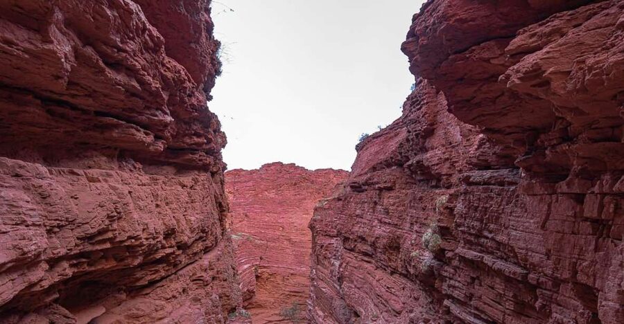 From Salta: 2 Day Guided Trip to Cafayate & Salinas Grandes - Key points to know before booking