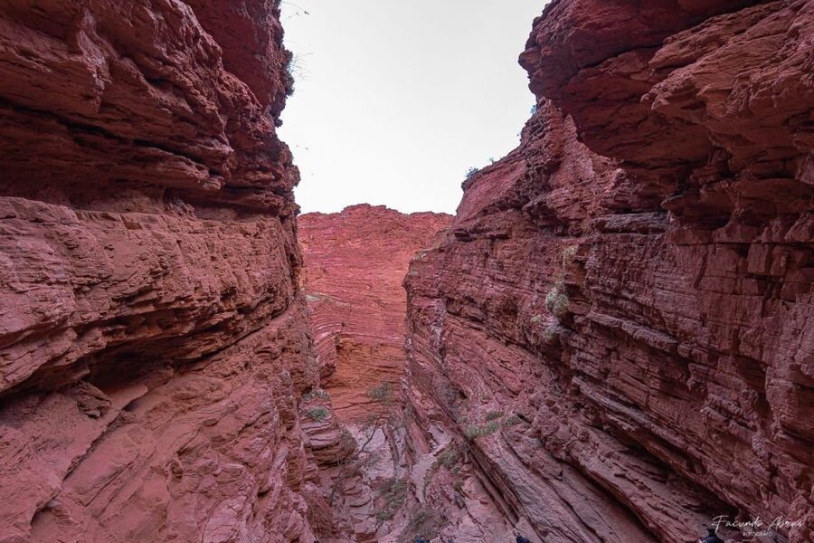 From Salta: 2 Day Guided Trip to Cafayate & Salinas Grandes - Cafayate, vineyards, and a Spanish wine tasting