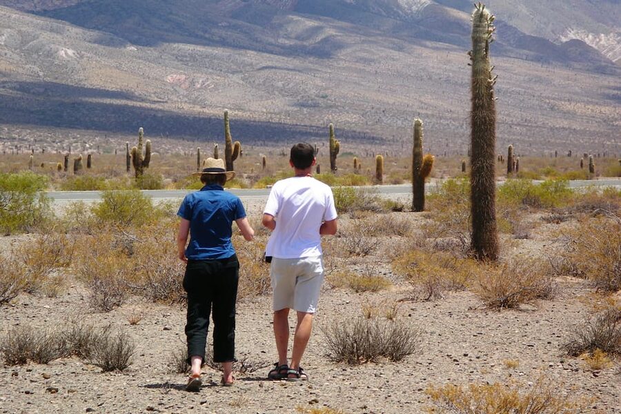 From Salta: 3-Day Cafayate, Cachi, and Humahuaca Guided Trip - Should you book this Salta tour?