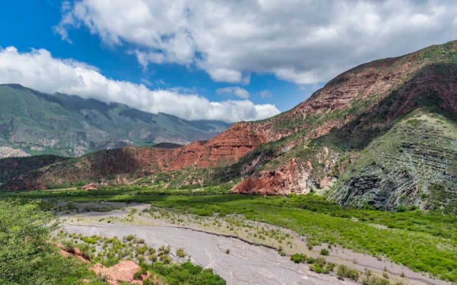 From Salta: Cachi and Los Cardones National Park Tour - At a glance