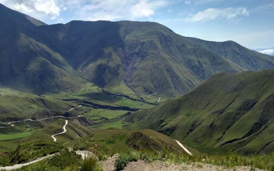 From Salta: Cachi and Los Cardones National Park Tour - Who should book this long day