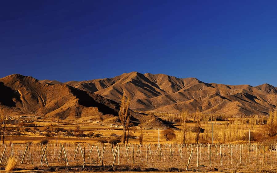 From Salta: Cachi and Los Cardones National Park Tour - Leaving Salta behind in the Lerma Valley