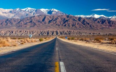 Cachi and Los Cardones National Park Tour