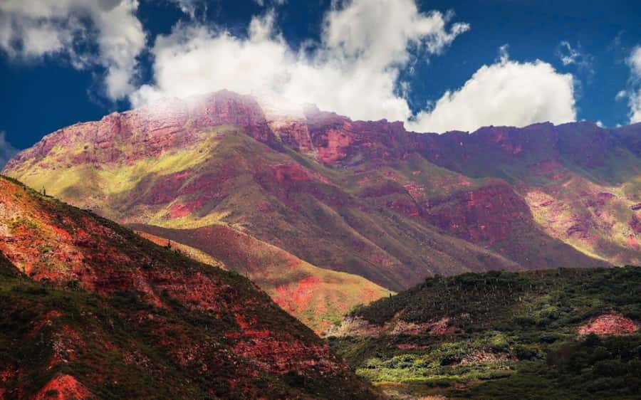 From Salta: Cachi and Los Cardones National Park Tour - Two hours in colonial Cachi