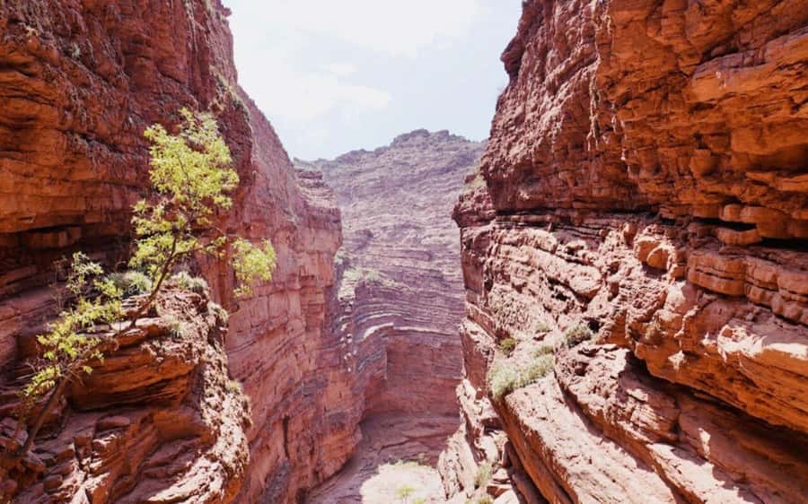 From Salta:Cafayate and the imposing Quebrada de las Conchas - The road trip matters as much as the stops