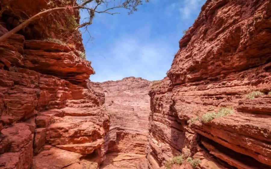 From Salta:Cafayate and the imposing Quebrada de las Conchas - The Devil’s Throat and Amphitheater