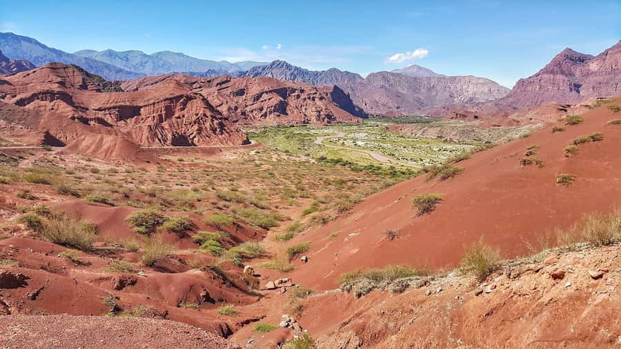 From Salta: Cafayate Day Trip with Wine Tasting - The guide and group size can make or break it