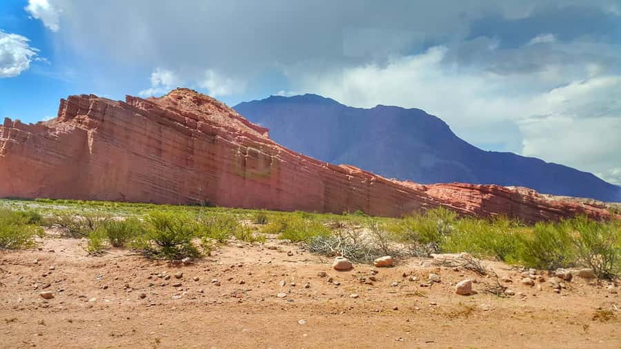 From Salta: Cafayate Day Trip with Wine Tasting - Who should book this Salta day trip?