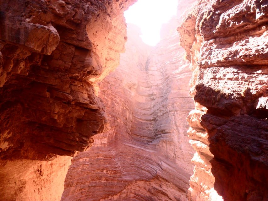 From Salta: Cafayate, Humahuaca & Salinas Grandes 3-Day Tour - Who should book this three-day tour?