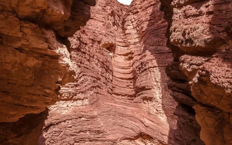 From Salta: Cafayate, land of wines and imposing ravines - Cafayate wine country and the winery visit