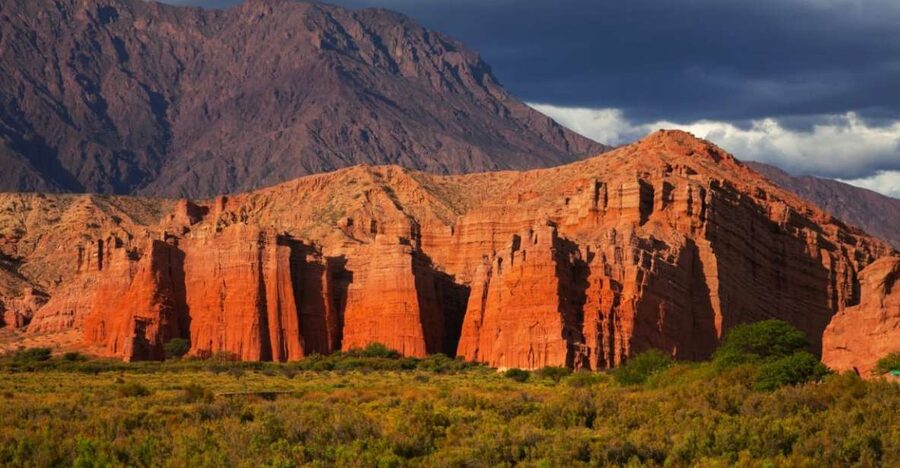 From Salta: Cafayate, Salinas Grandes, & Hornocal Tour - Cafayate wine and the case for Torrontés