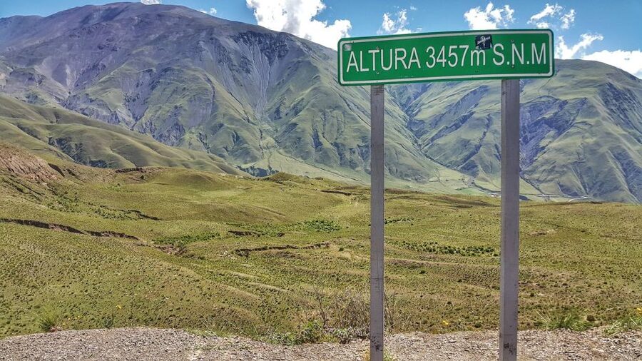 From Salta: Day Trip to Cachi and the Calchaquí Valleys - Guides, vehicles, and the 12-hour schedule