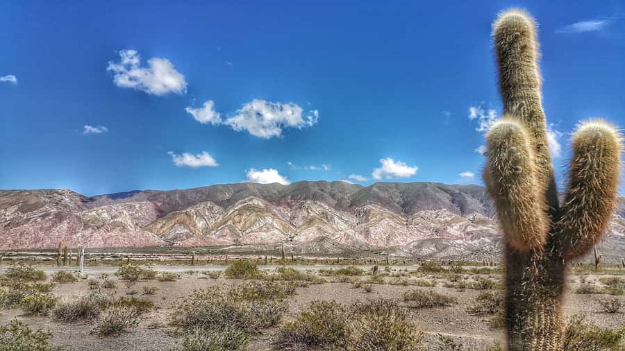From Salta: Day Trip to Cachi and the Calchaquí Valleys - Climbing the Cuesta del Obispo