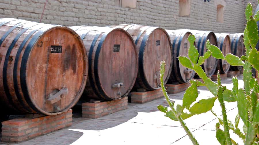 From Salta: Day Trip to Cafayate - What the $41 price really covers