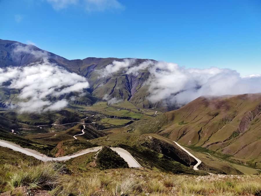 From Salta: Full-Day Scenic Tour to Cachi - Key points to know before booking