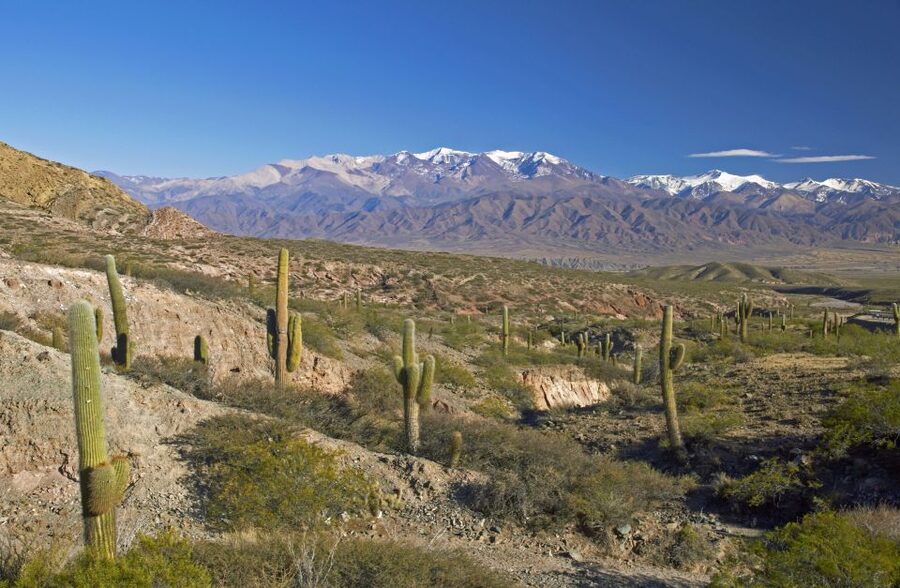 From Salta: Full-Day Scenic Tour to Cachi - How much value do you get for $29?