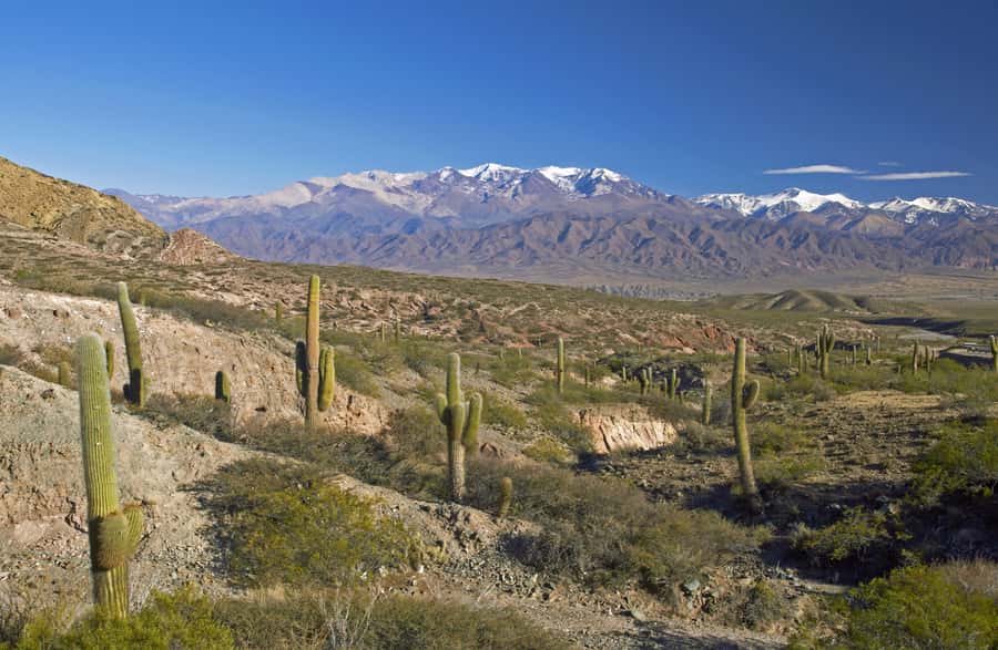 From Salta: Full-Day Scenic Tour to Cachi - Why the road to Cachi is worth your day
