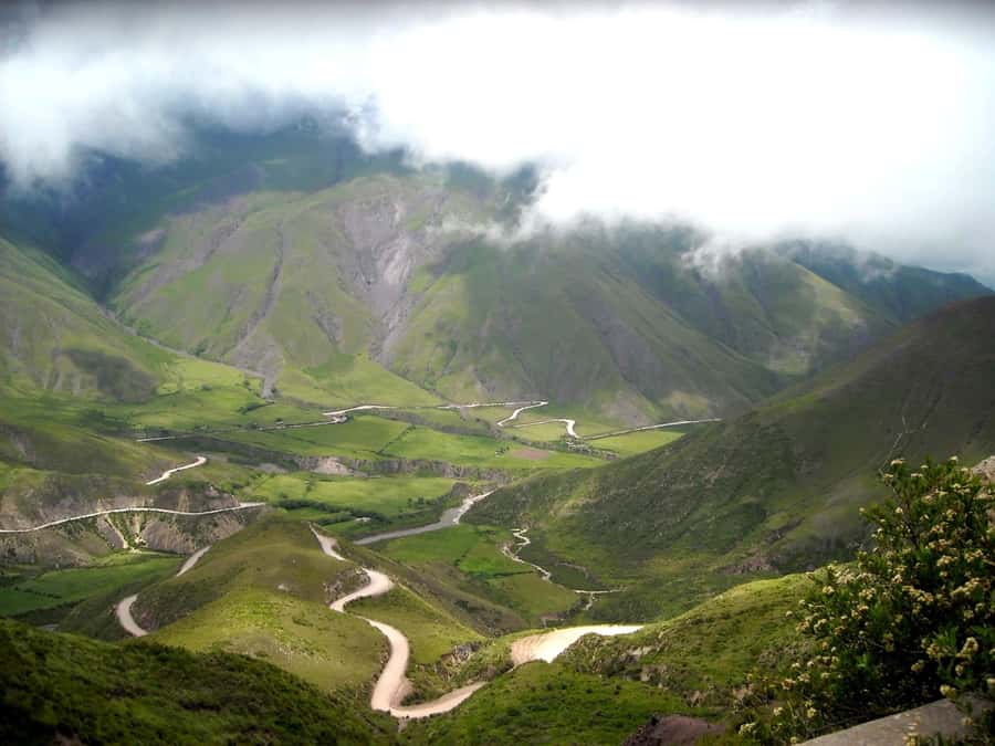From Salta: Full-Day Scenic Tour to Cachi - Escoipe Gorge and Los Laureles