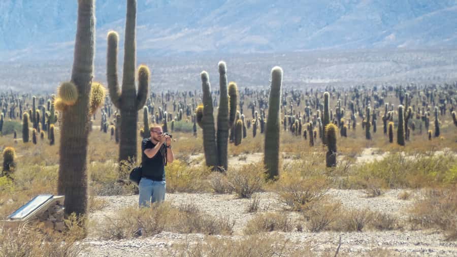 From Salta: Full-Day Scenic Tour to Cachi - Lunch and a walk through colonial Cachi