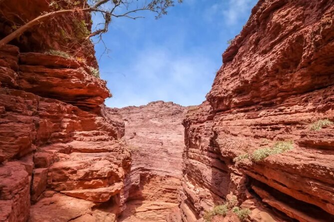 From Salta: Full-Day Tour to Cafayate, Land of Wines - What the winery visit is really like