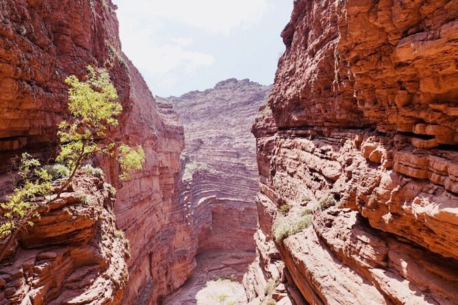 From Salta: Full-Day Tour to Cafayate, Land of Wines - Is $38 good value?