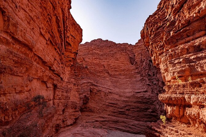 From Salta: Full-Day Tour to Cafayate, Land of Wines - What service can be like