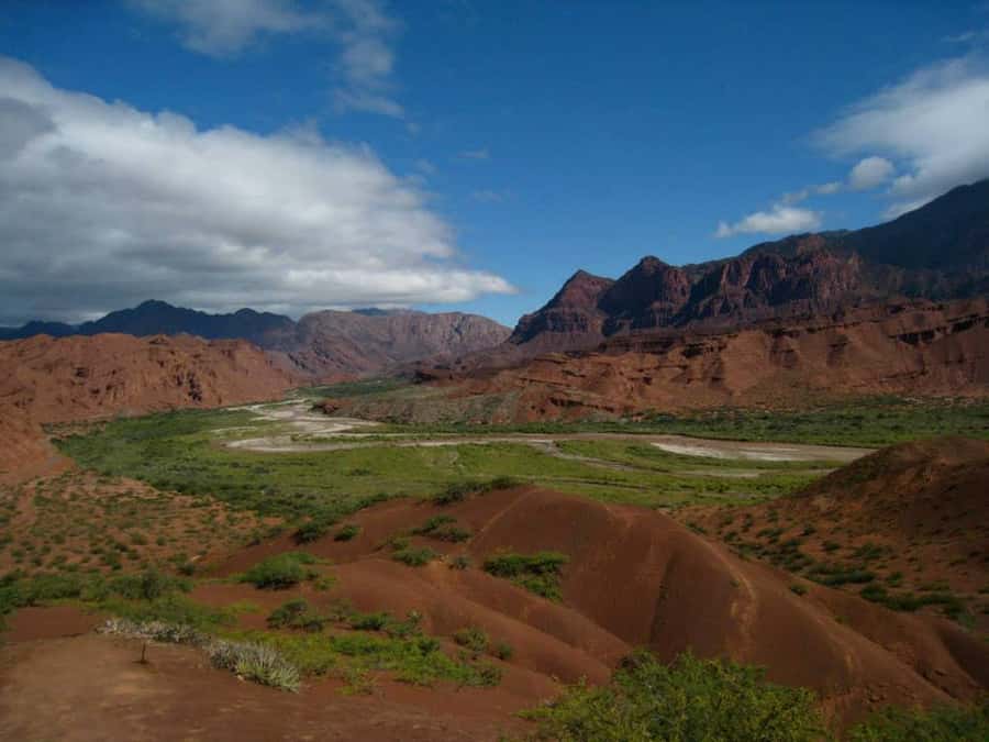 From Salta: Full-Day Tour to Cafayate with Wine Tasting - Why the geology makes the drive worthwhile