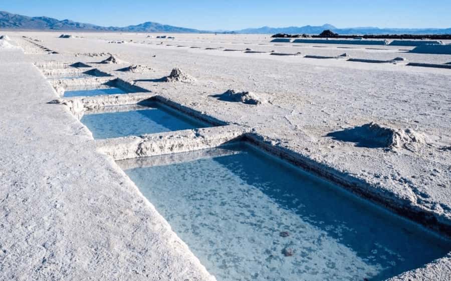 From Salta: Full-Day Tours of Cafayate and Salinas Grandes - Cafayate’s wine stop and what to expect