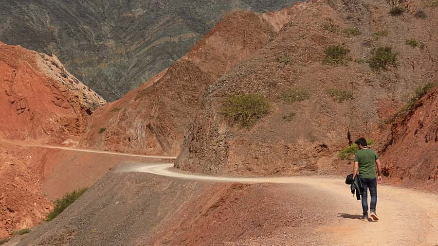 From Salta: Full-Day Trip to Salinas Grandes and Purmamarca - Key points to know before booking
