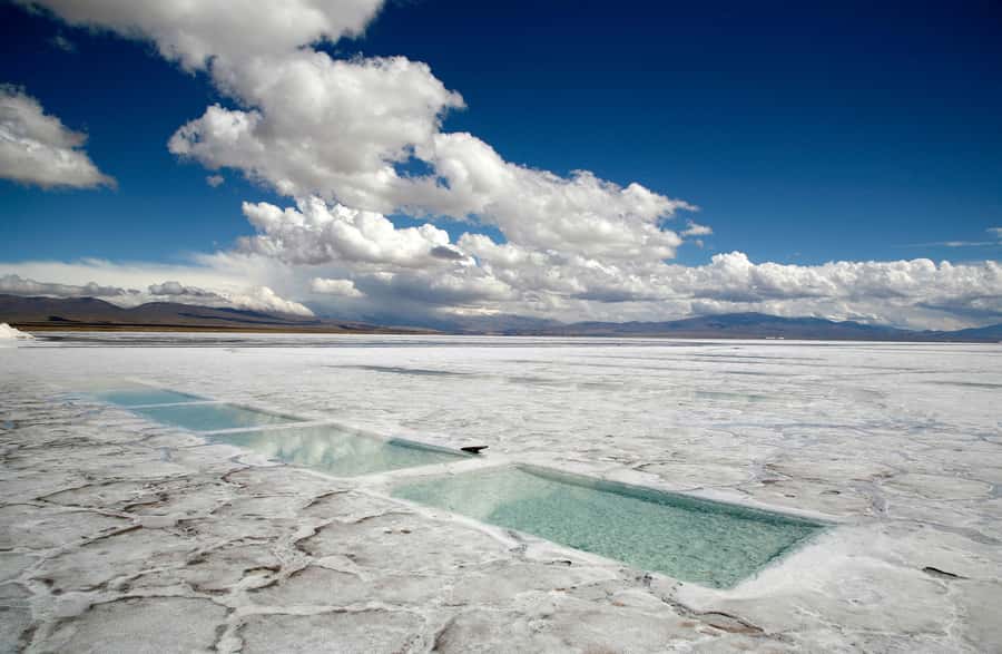 From Salta: Full-Day Trip to Salinas Grandes and Purmamarca - The minivan, guide, and real comfort level