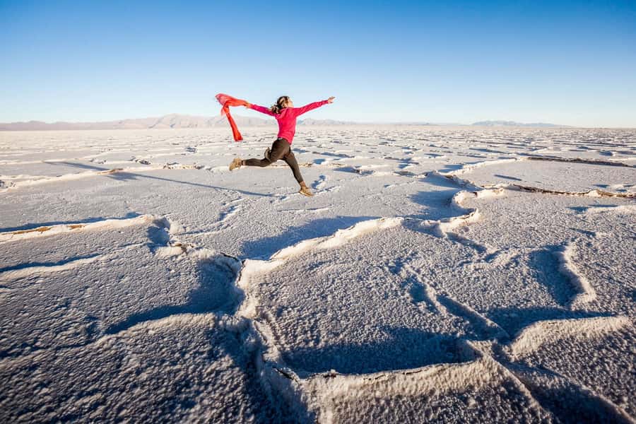 From Salta: Great Salt Flats Day Tour - Should You Book the Salta Great Salt Flats Tour?