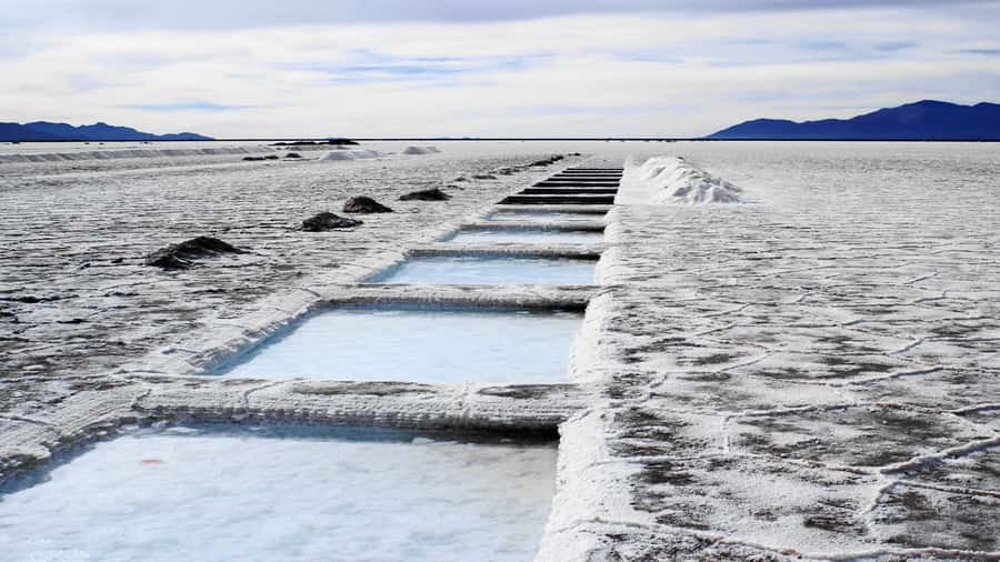 From Salta: Great Salt Flats Day Tour - Transport, Timing, and What to Pack