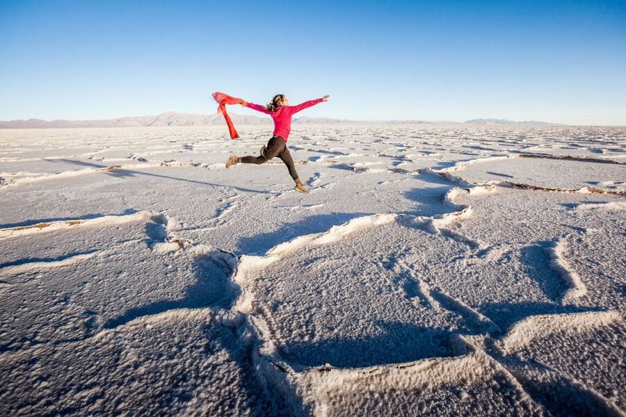 From Salta: Great Salt Flats Day Tour - Who Will Enjoy This Tour Most