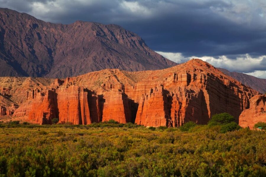 From Salta: Local Landscape, Winery, and Culture Tour - Day one: tobacco fields, red cliffs, and Cafayate wine