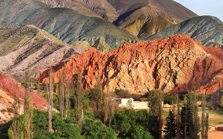 From Salta: Salinas Grandes, Purmamarca and Cuesta de Lipán - Purmamarca and the Hill of Seven Colors