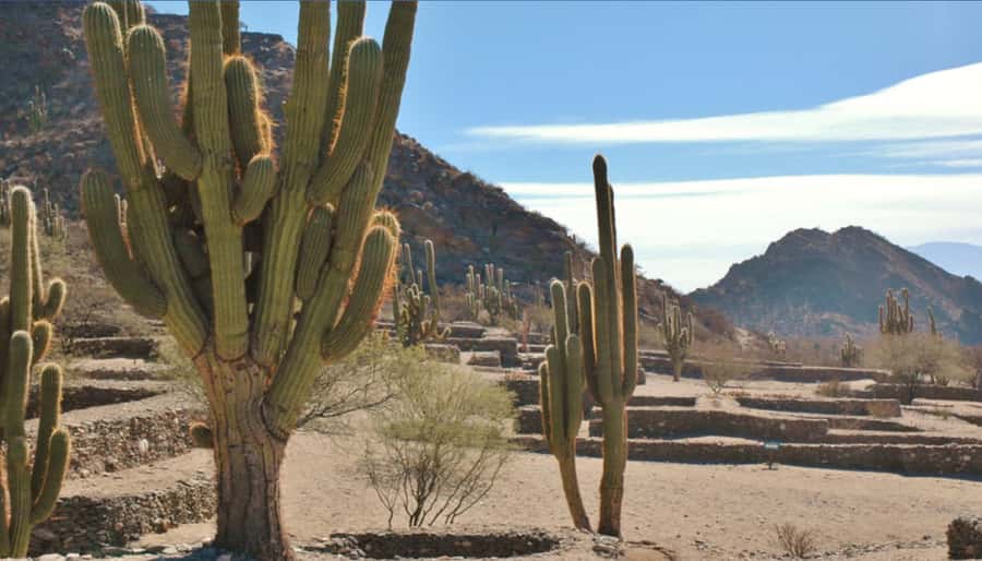 From Tucumán: Tafí del Valle, Quilmes Ruins and Cafayate - Key points to know before booking