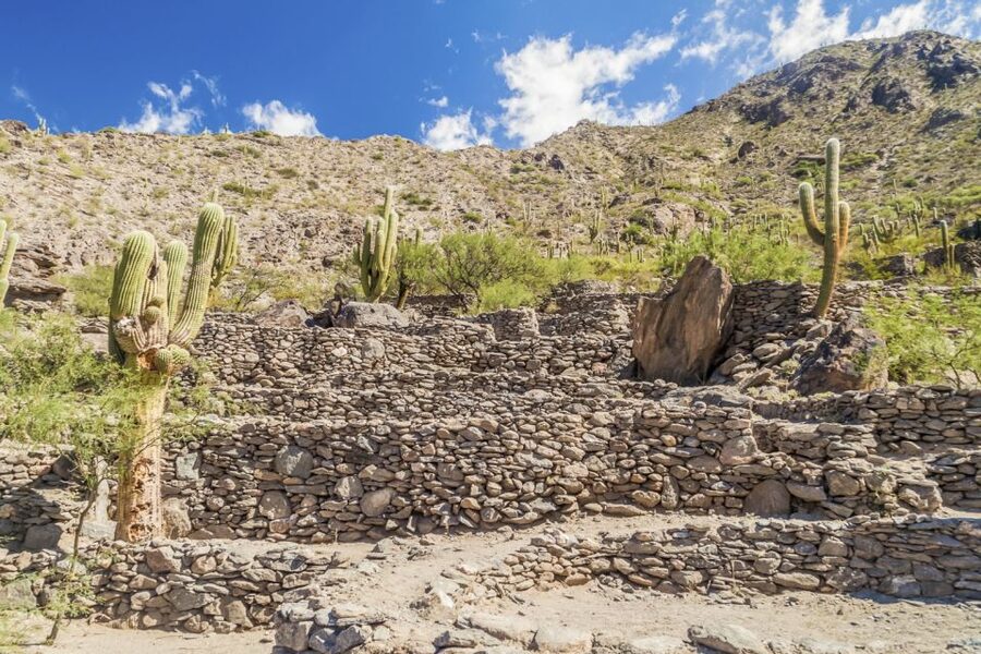 From Tucumán: Tafí del Valle, Quilmes Ruins and Cafayate - Tafí del Valle: cheese, market, and mountain views